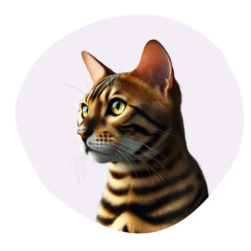 Bengal