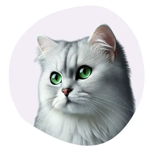 Burmilla