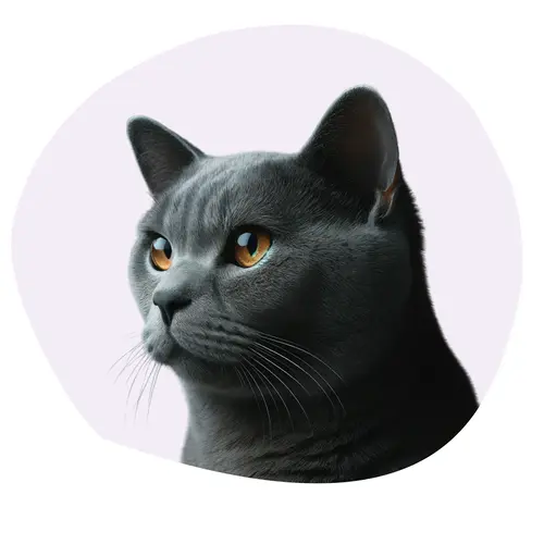 Chartreux