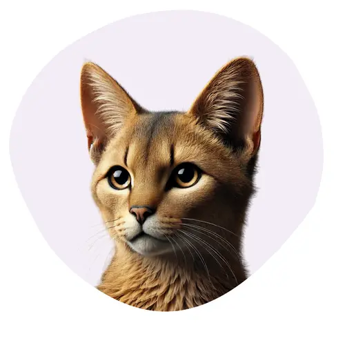 Chausie