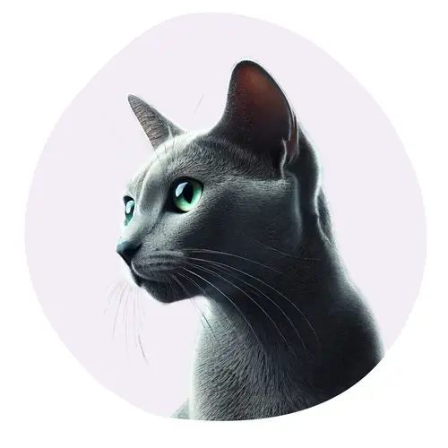 Korat