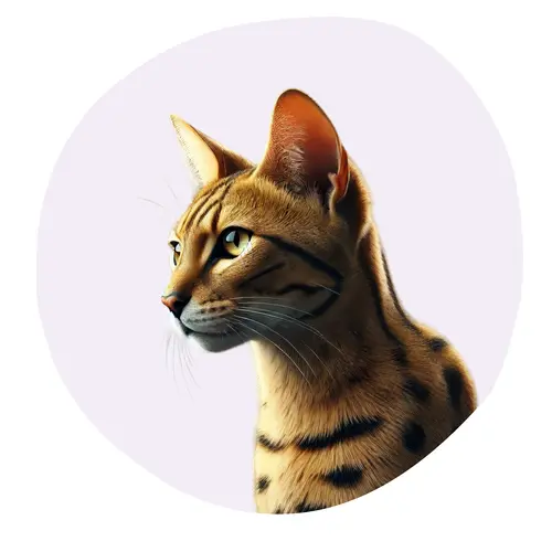 Savannah