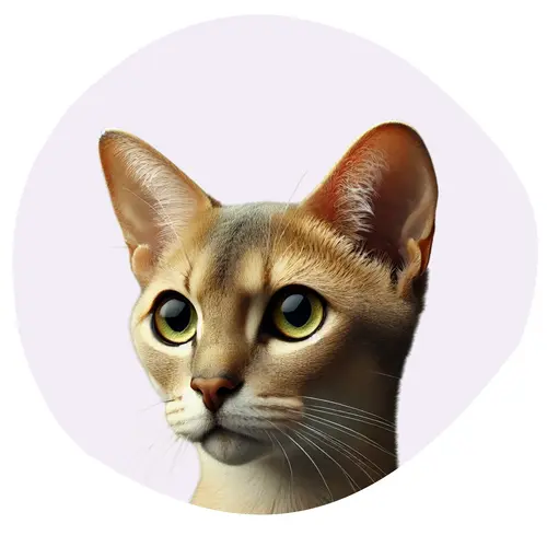 Singapura
