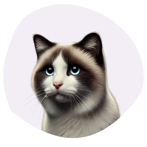 Snowshoe