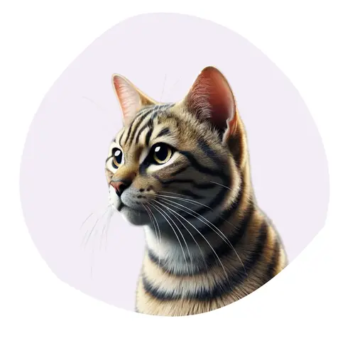 Toyger