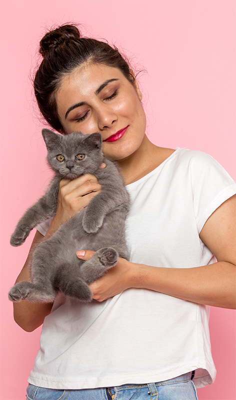 Chat Maladies génétiques 2