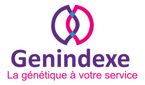 Logo Génindexe Contact